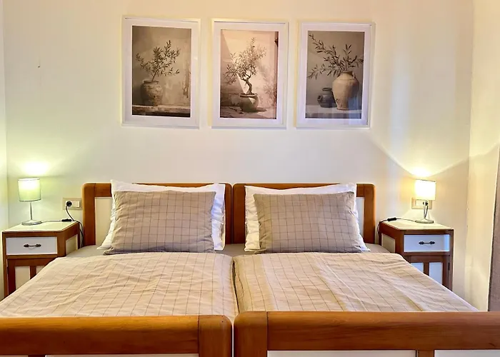 Casa Rustica Buici (Istria)