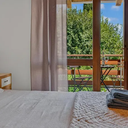 Casa Rustica Authentic Istrian With Saltwater Pool Daire Buici (Istria)