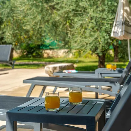 Casa Rustica Authentic Istrian With Saltwater Pool Daire
